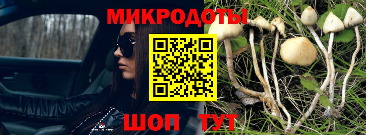 Псилоцибиновые грибы Magic Shrooms  Вход с VPN  Кунгур 
